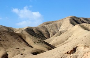 IMG_0022
